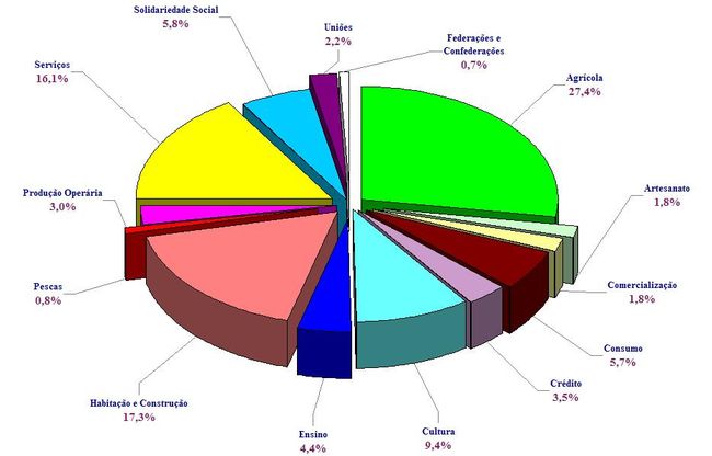 Distribuio de cooperativas por ramos cooperativos em 2007